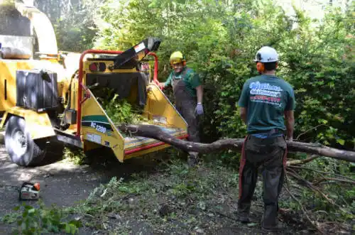 tree services Cowan